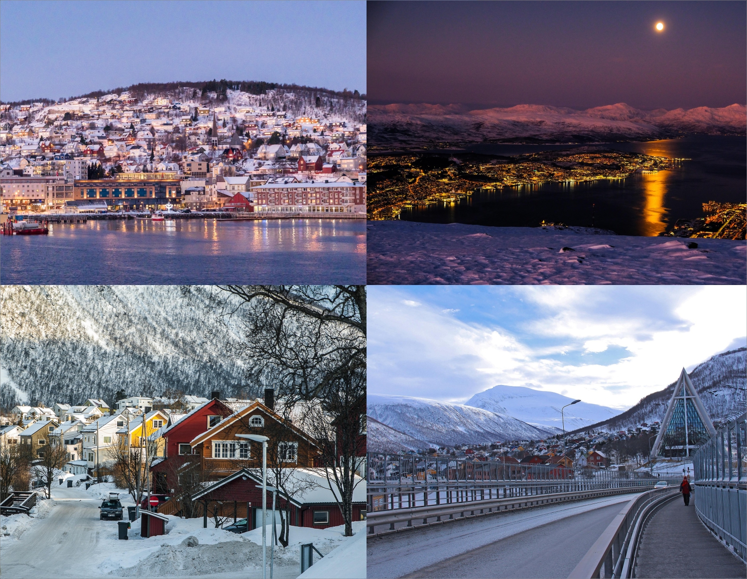 SAVE THE DATE! For the 11th Symposium to be held in Tromsø, Norway 2026